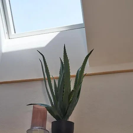 Seemomente Ueberlingen Promenade 于伯林根