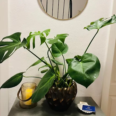 Seemomente Ueberlingen Promenade *