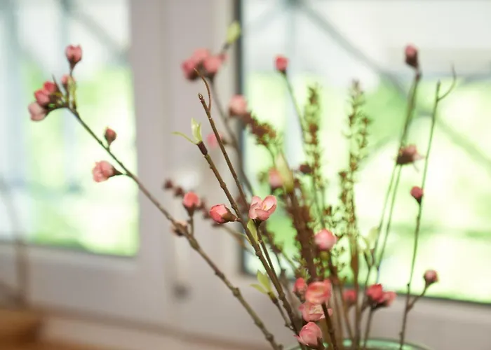 Seemomente Promenade Uberlingen