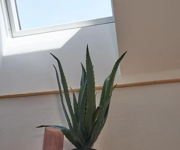 Seemomente Promenade Uberlingen