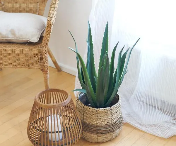 Seemomente Promenade *