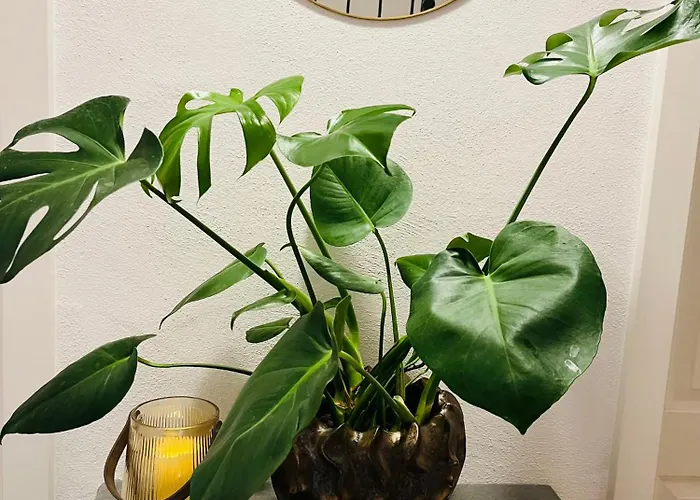 Seemomente Promenade *